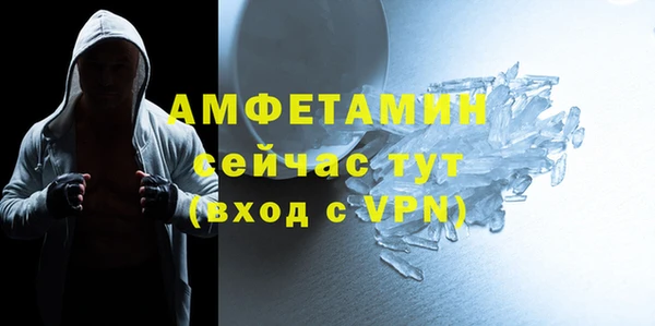 мдпв Елабуга