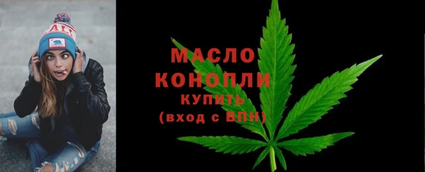 мдпв Елабуга
