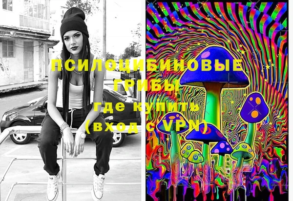 марки lsd Ельня