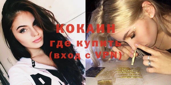 мдпв Елабуга