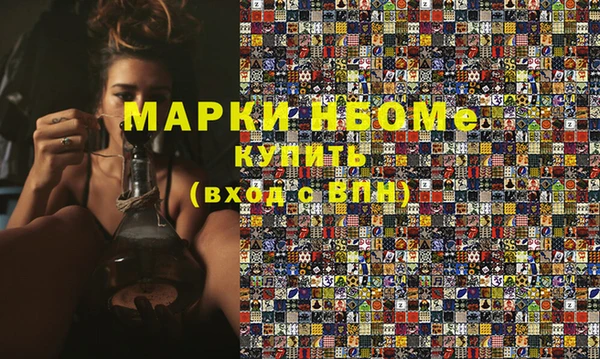 мдпв Елабуга