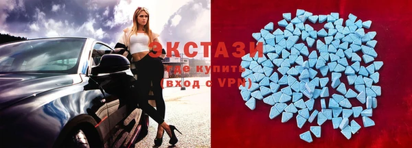 мдпв Елабуга