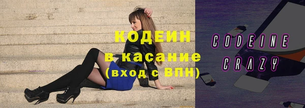 мдпв Елабуга