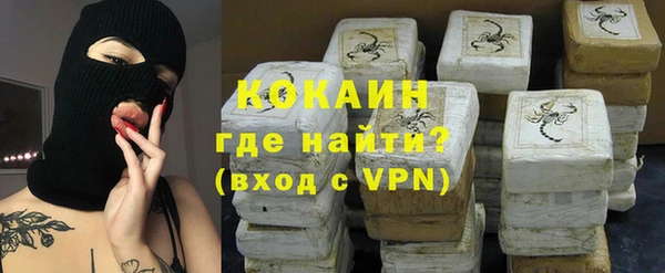 мдпв Елабуга